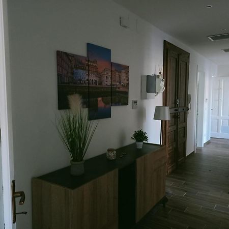 Casa Perugino Apartment Trieste Bagian luar foto